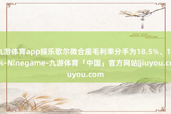 九游体育app娱乐歌尔微合座毛利率分手为18.5%、17.2%-Ninegame-九游体育「中国」官方网站|jiuyou.com