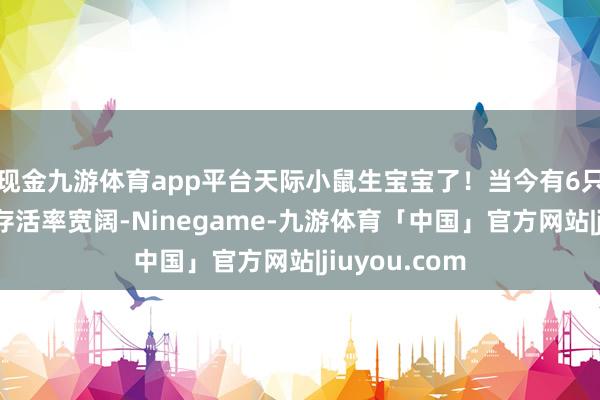 现金九游体育app平台天际小鼠生宝宝了！当今有6只幼鼠存活，存活率宽阔-Ninegame-九游体育「中国」官方网站|jiuyou.com
